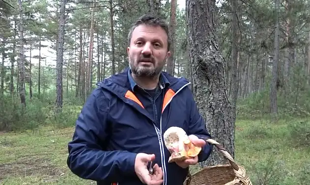 Zehirli kanlıca mantarı