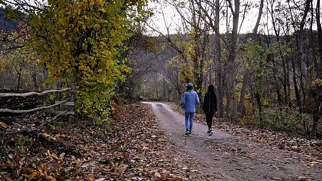 İhsangazi'de sonbahar renkleri