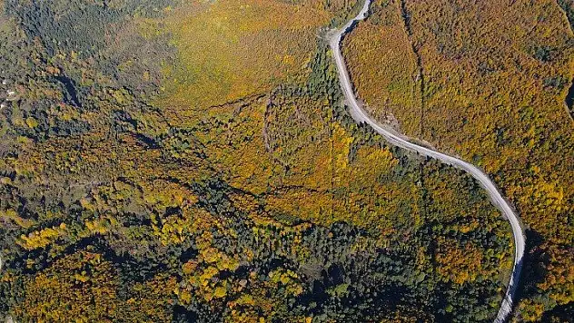 Küre Dağları'nda sonbahar güzelliği