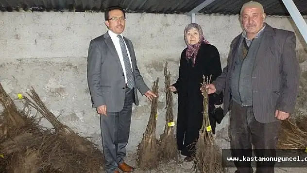 12.000 Ceviz Fidanı Dağıtıldı