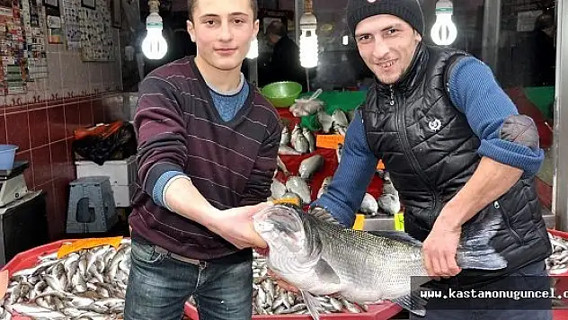 15 Kiloluk Levrek Balığı Şaşırttı