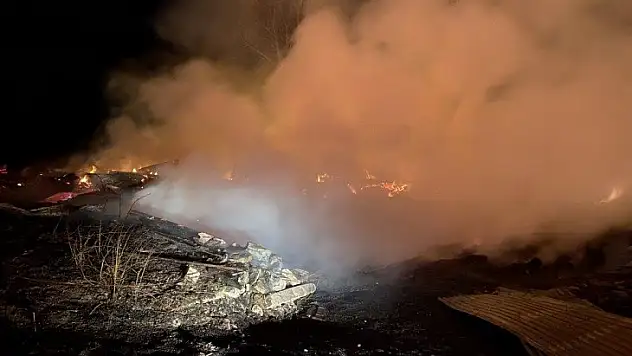 2 ev 3 ahırın yandığı Daday'daki yangın kontrol altına alındı