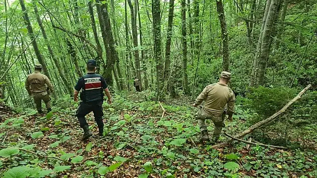 20 gündür aranıyor! Hala bulunmadı