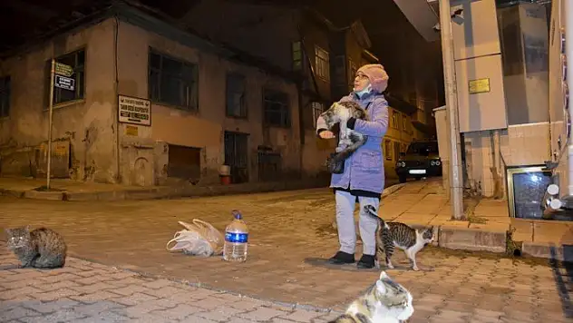 20 yıldır her gün yolunu gözleyen 'sokak canlarını' besliyor