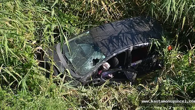 Otomobil Pirinç Tarlasına Uçtu: 2 Yaralı