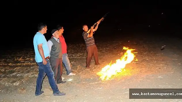 Tarlada Tüfekli Sarımsak Nöbeti