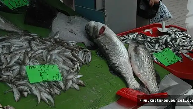 İnebolu'da 7 Kilo 700 Gramlık Levrek Şaşırttı