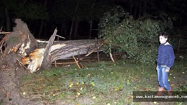 Kastamonu'da Fırtına Hayatı Felç Etti