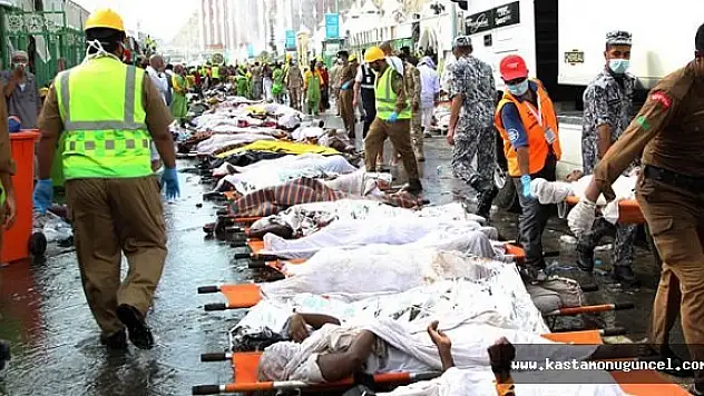 Kral, Hac'taki Facianın Cezasını Kesti