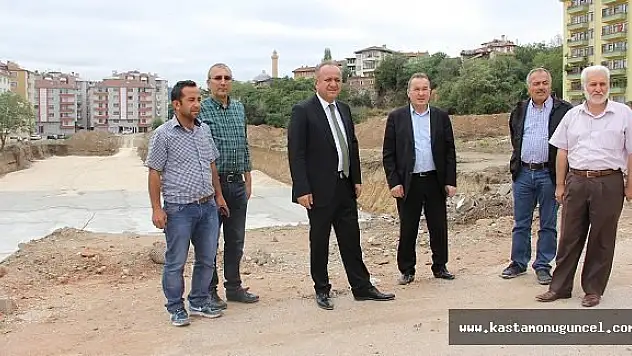 Tahsin Babaş, Çalışmaları Yerinde İnceledi