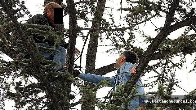 İşsiz Kalan Şahıs Ağaca Çıktı