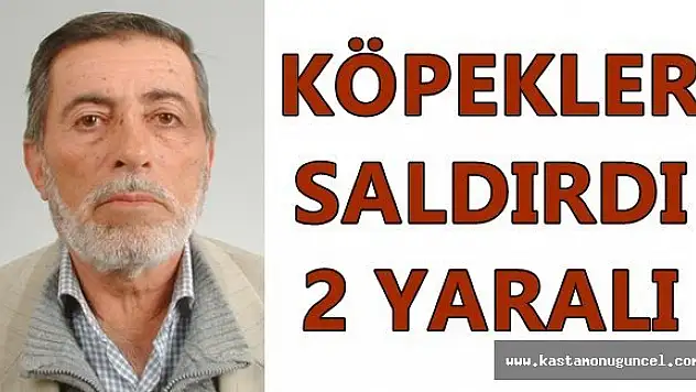 Çoban Köpekleri Saldırdı: 2 Yaralı