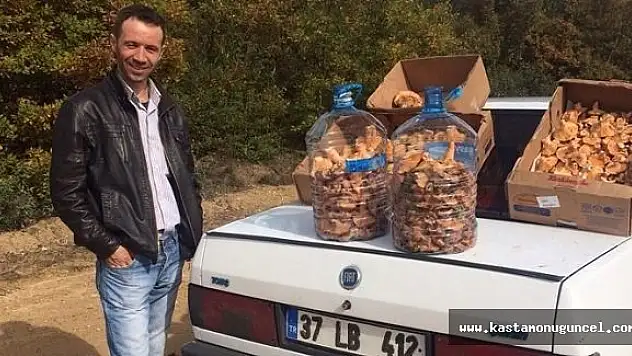 Kanlıca Mantarı Ek Gelir Kaynağı Oldu