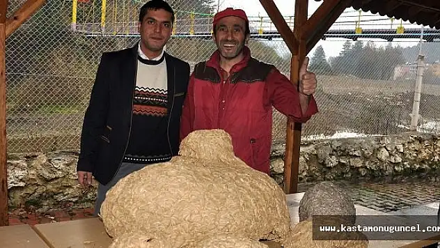 Sarıca Arılarının Yaptığı Kovanlar, Görenleri Şaşırttı