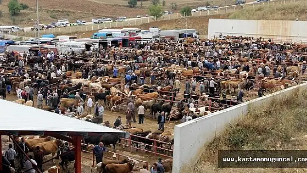 Hayvan Pazarı'nda Üst Düzey Önlem Alındı