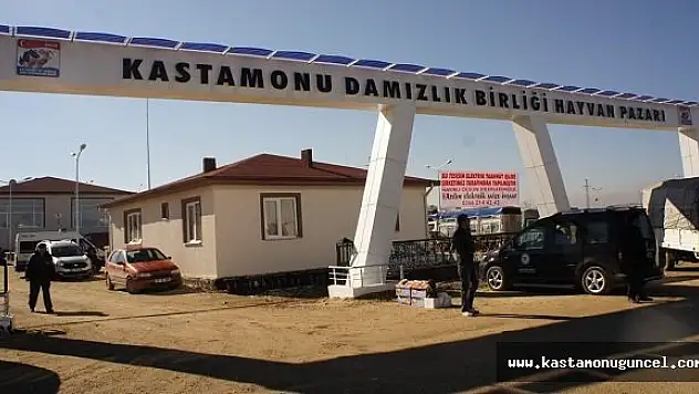 İlimizdeki Tüm Hayvan Pazarları Kapatıldı