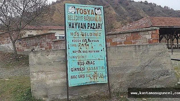Tosya Hayvan Pazarı, Şap Nedeniyle Karantinada