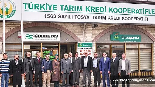 Tosya Pirinci 81 İlde Satışa Sunuldu