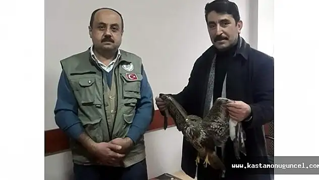 Aç Kalan Yaralı Şahine Vatandaş Şefkati