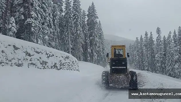 Kastamonu'da 78 Köy Ulaşıma Kapandı