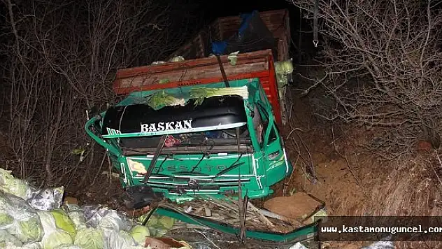 Sebze Yüklü Kamyon Tarlaya Uçtu
