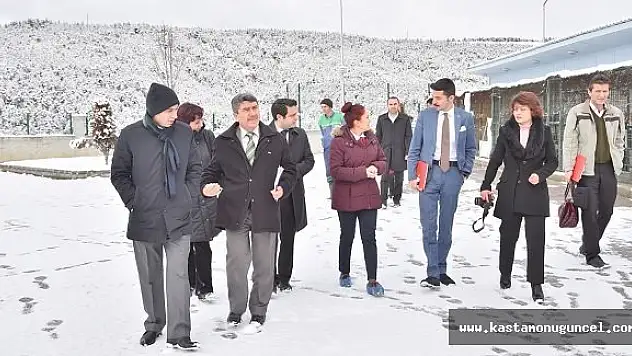 Sokak Hayvanları Projesi'nde Kastamonu Pilot İl Oluyor