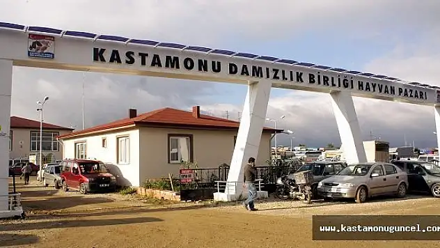 Kapatılan Hayvan Pazarları, Besicileri Vurdu