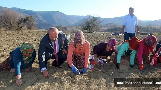 Başkan Arslan, Sarımsak Tarlasında Çalışan Kadınları Ziyaret Etti
