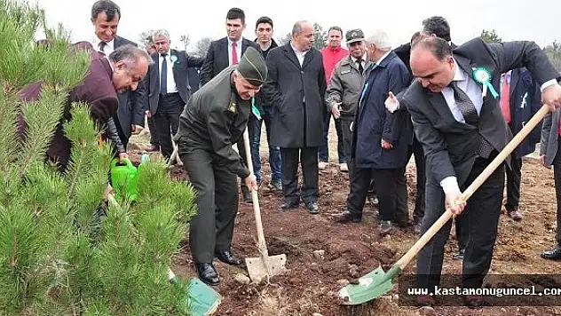 Kastamonu'da Ormancılık Haftası Kutlandı