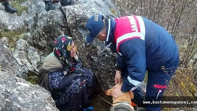 Kayıp Yaşlı Kadın Ormanlık Alanda Bulundu