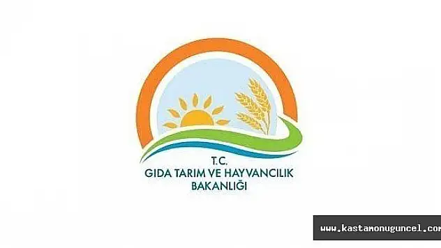 Taşköprü Sarımsağı Paneli