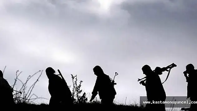 İşte Yüksekova'da Öldürülen PKK'lı Sayısı