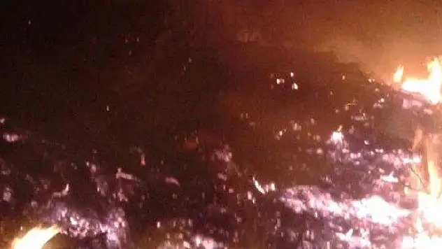 Kastamonu'da Korkutan Orman Yangını