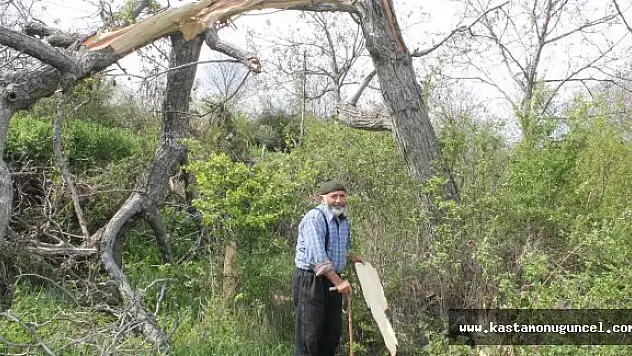 Yaşlı Adamın Bağevine Yıldırım Düştü