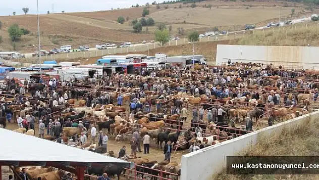 Hayvan Pazarı Şap Nedeniyle Kapatıldı