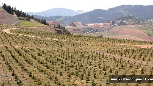 Kastamonu'da 1800 Dekar Alan Rehabilite Edildi