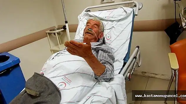 Arılar saldırdı, yaşlı çift hastanelik oldu