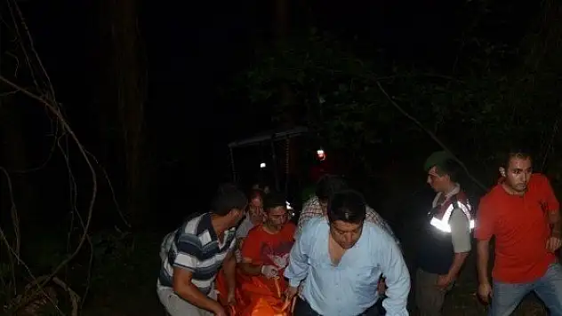 Kestiği ağacın altında kaldı, hayatını kaybetti