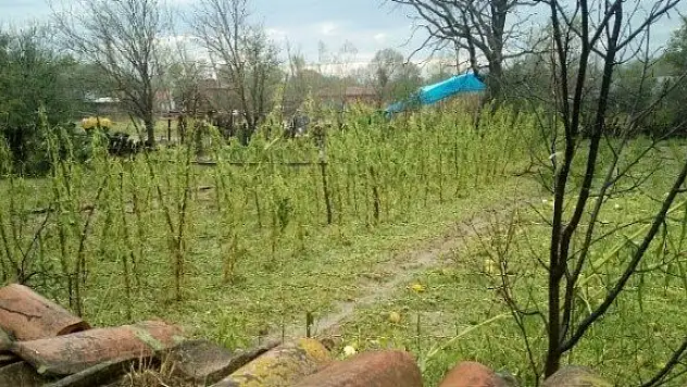 Sağanak yağış  ve fırtına, Kastamonu'da etkili oldu