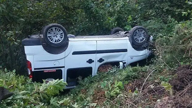 Kamyonet fındık tarlasına uçtu: 1 yaralı