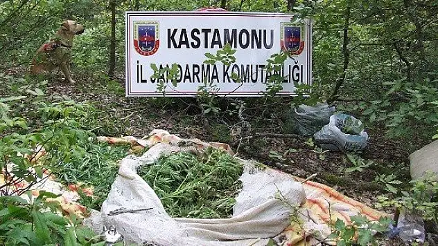 Kastamonu'da 10 kilogram esrar ele geçirildi