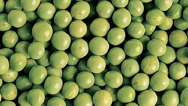 Kurutulmuş bezelyenin faydaları!