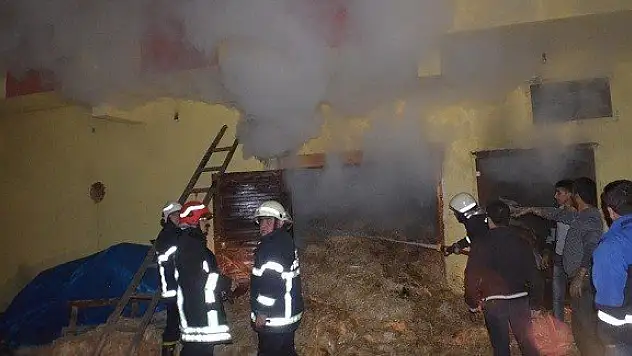 Samanlık yangınında bir aile ölümden döndü