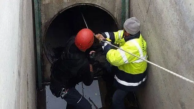 200 metre derinliğindeki kanala düşen köpeği, AFAD kurtardı