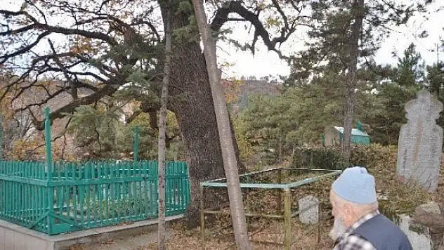 Tarihi Sarıkız Mezarlığı yok olma tehlikesi yaşıyor