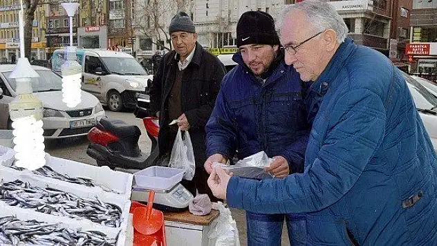 Kastamonu'da yakalanan 500 ton hamsi, fiyatları düşürdü