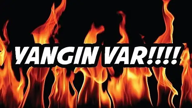 Kastamonu'da yangın faciasını komşu önledi