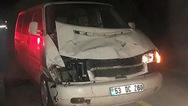 Minibüs aniden yola çıkan ineğe çarptı