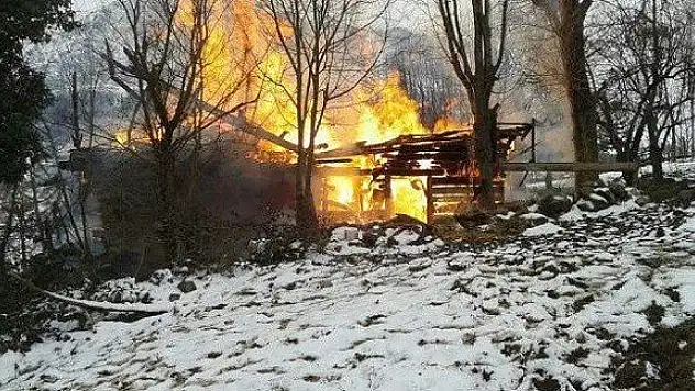 Kastamonu'da ev ve ambar yandı, 8 hayvan telef oldu