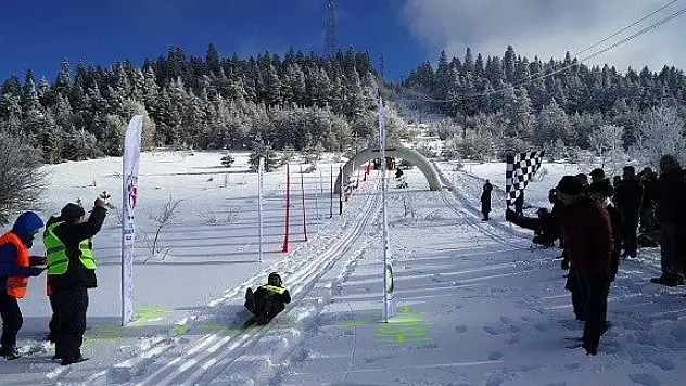 Küre'de Geleneksel Hızlı Kızak Yarışları düzenlendi